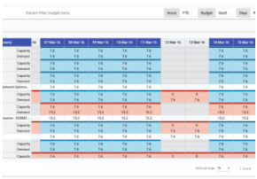 Project & portfolio management tool